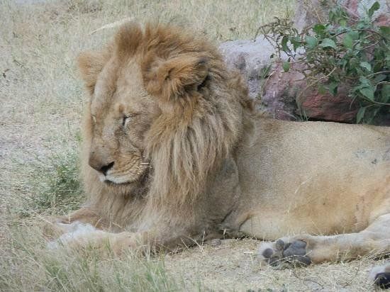 Jaipur Zoo